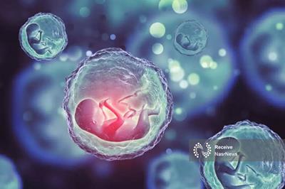 فریز تخمک؛ پلی بین زمان حال و بارداری مطمئن در آینده