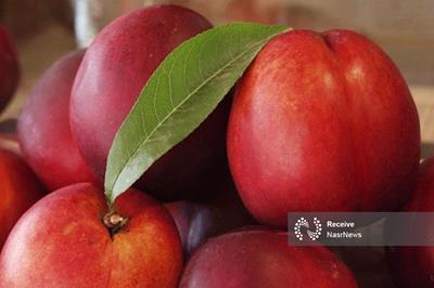 میوه‌ای برای سلامت چشم و پوست