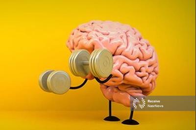 ورزش مغزی را دست‌کم نگیرید/ ۳ تمرین برای تقویت حافظه