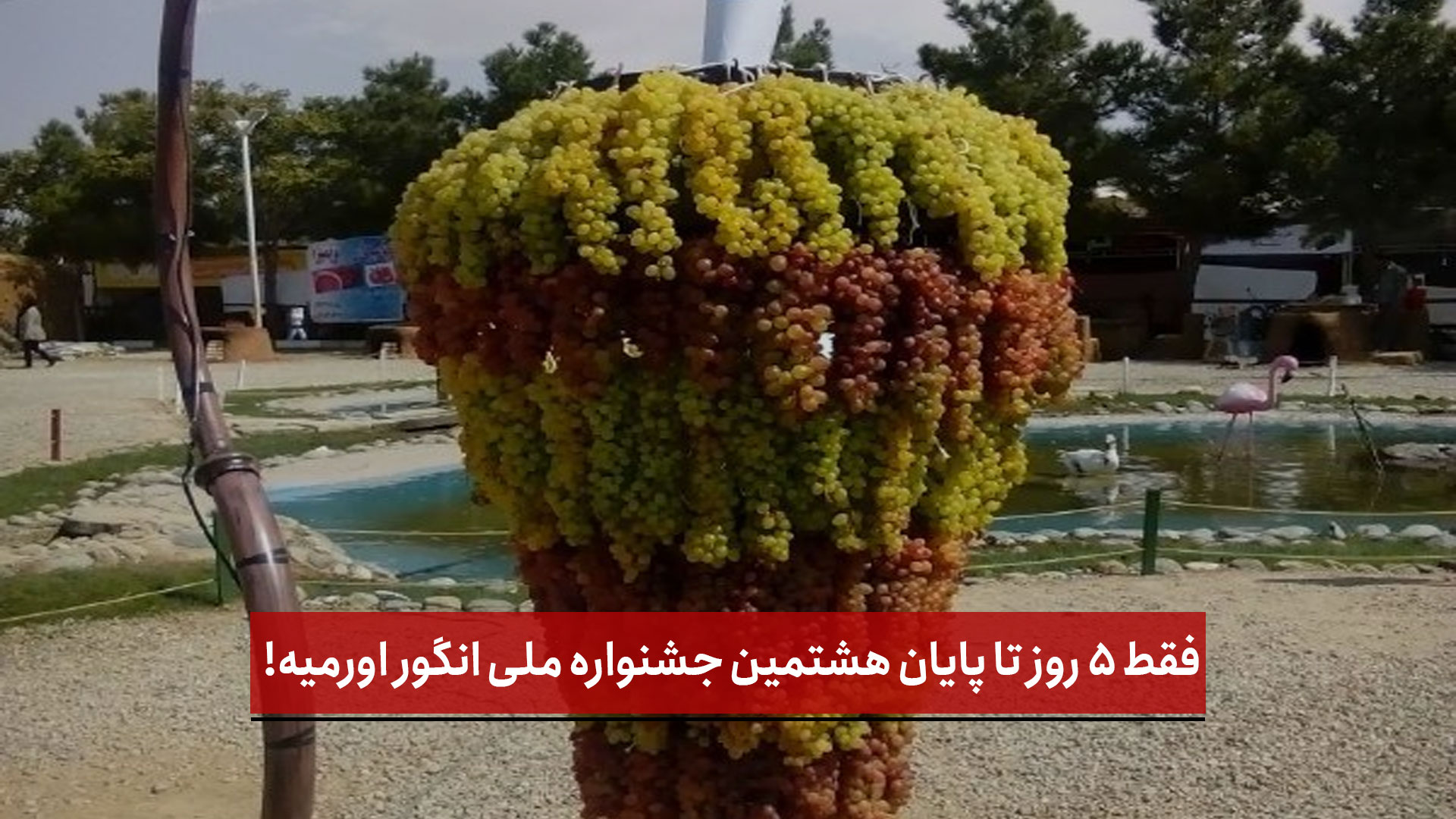 فیلم | فقط ۵ روز تا پایان هشتمین جشنواره ملی انگور اورمیه!