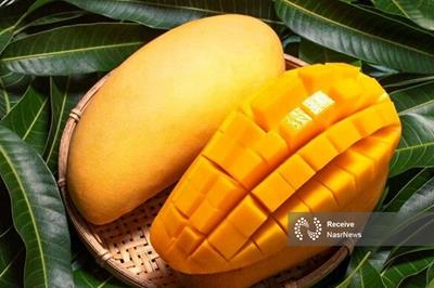 سلطان میوه‌ های استوایی با خواص بی‌نظیر برای بدن