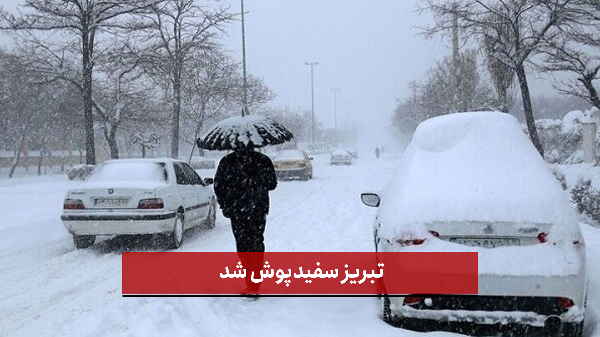 فیلم | تبریز سفیدپوش شد؛ برف صبحگاهی و تردد دشوار در معابر