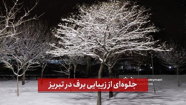 فیلم | جلوه‌ای از زیبایی برف در تبریز