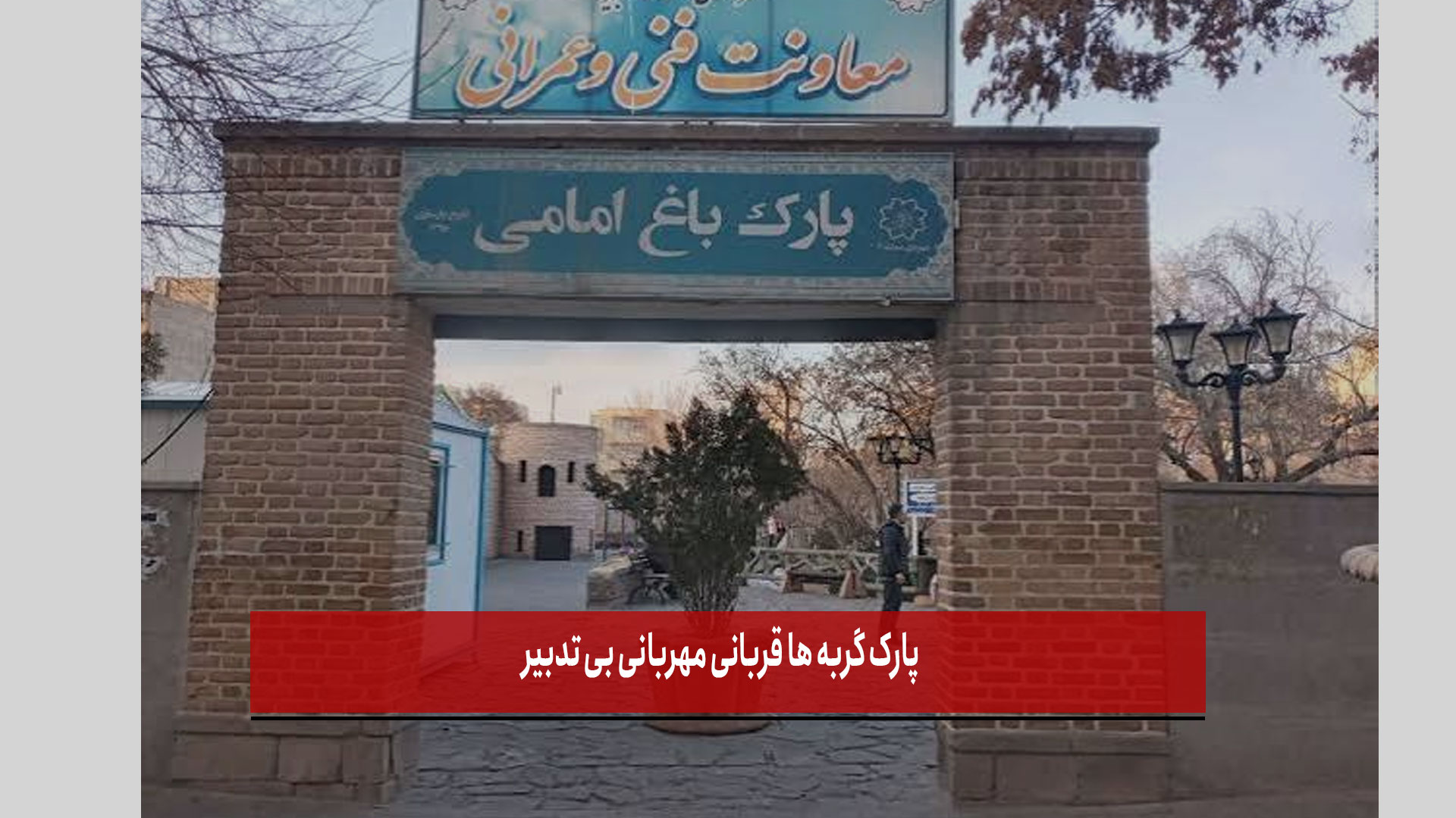 فیلم |پارک گربه ها قربانی مهربانی بی تدبیر 