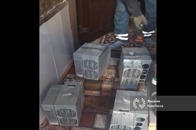 ضربه متقابل برق تبریز به استخراج غیرقانونی رمز ارز؛ توقیف ۱۱ دستگاه ماینر در دو مرکز