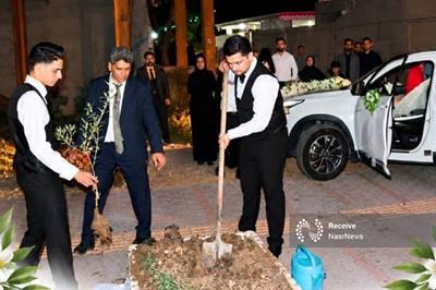 کاشت نهال به جای ذبح قربانی در عروسی