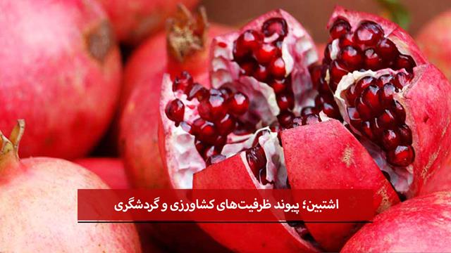 فیلم |جلفا؛ قطب تولید انار آذربایجان‌شرقی با سهم ۸۲ درصدی از تولید استان/ اشتبین؛ پیوند ظرفیت‌های کشاورزی و گردشگری