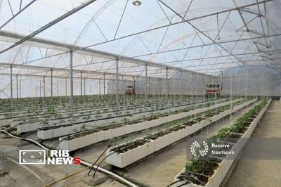 رتبه نخست آذربایجان شرقی در ایجاد گلخانه‌های مدرن