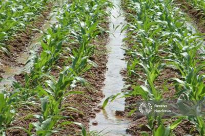 نوسانات دمایی؛ زنگ خطر جدی برای کشاورزی آذربایجان شرقی