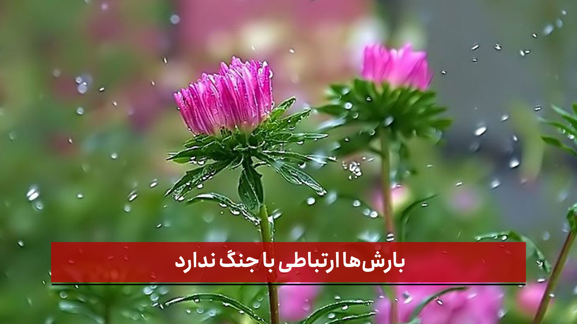 فیلم | اصغری کارشناس هواشناسی: بارش‌ها ارتباطی با جنگ ندارد