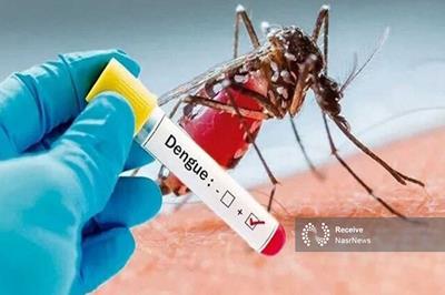 موارد مثبتی از تب دنگی فعلا در آذربایجان شرقی شناسایی نشده است