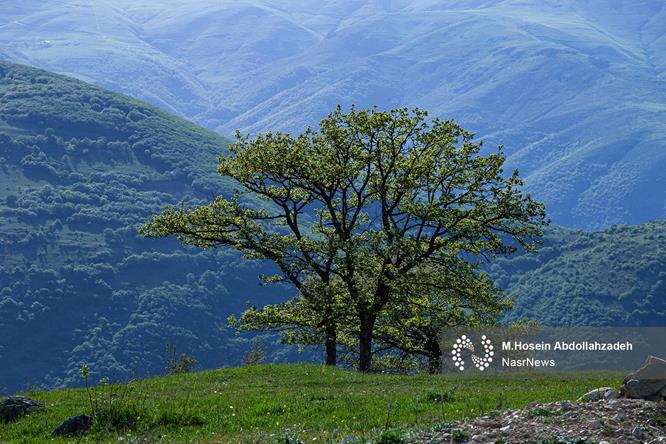 تصاویر | نقاشی زنده طبیعت؛ وقتی بهشت آذربایجان لبخند می زند