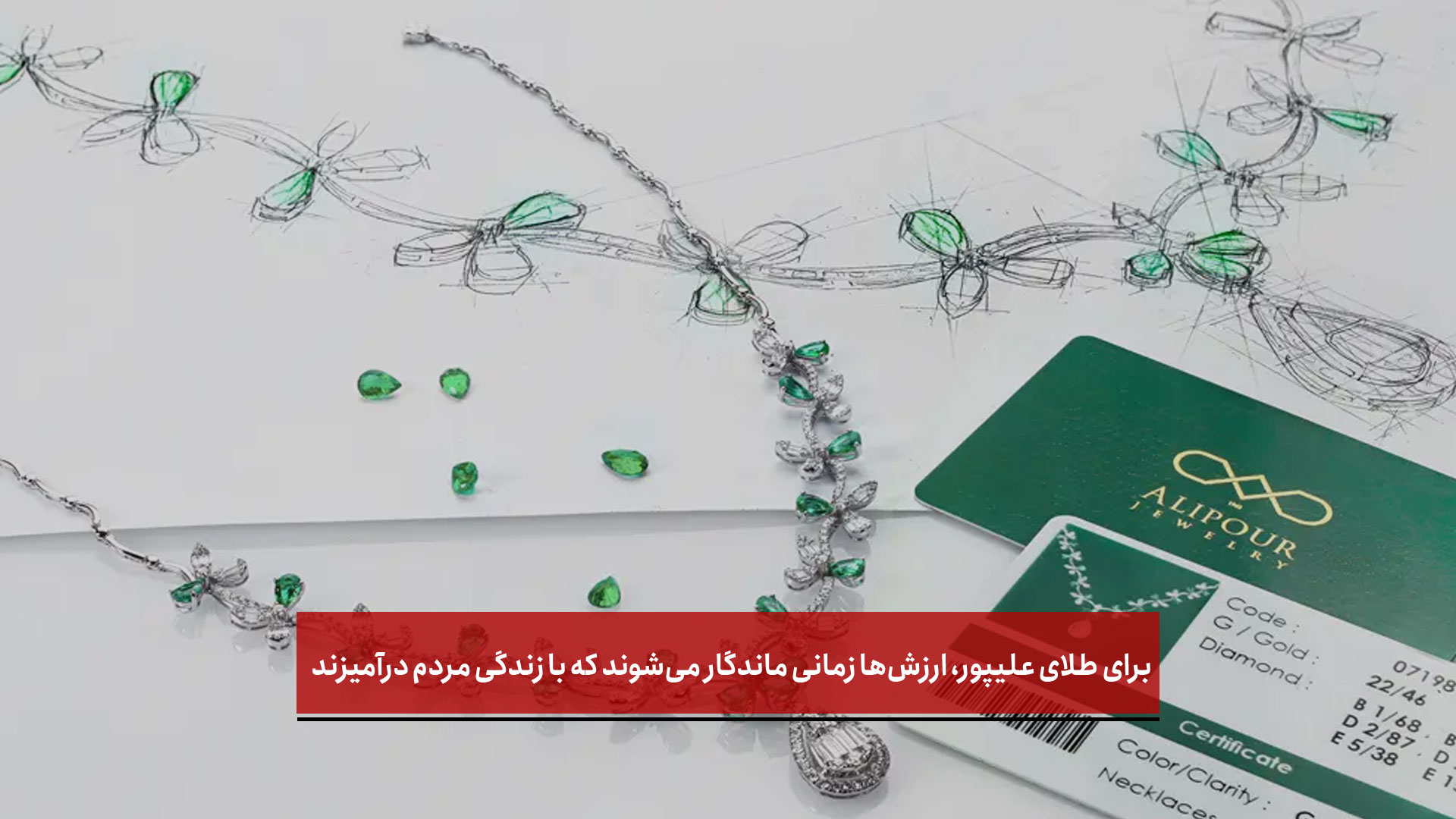 فیلم| برای طلای علیپور، ارزش‌ها زمانی ماندگار می‌شوند که با زندگی مردم درآمیزند