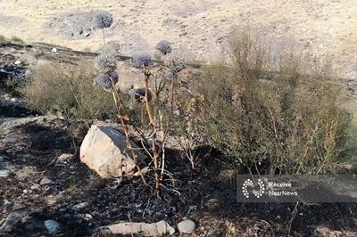 آتش‌ سوزی مراتع هامپوئیل مراغه با تلاش نیروهای امدادی و اهالی مهار شد