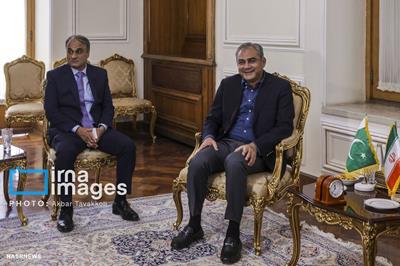 وزیر کشور پاکستان عازم ایران شد
