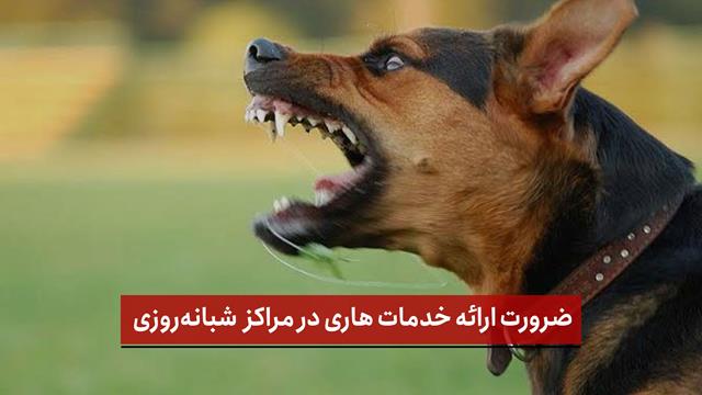 فیلم | ضرورت ارائه خدمات هاری در مراکز تخصصی و شبانه‌روزی
