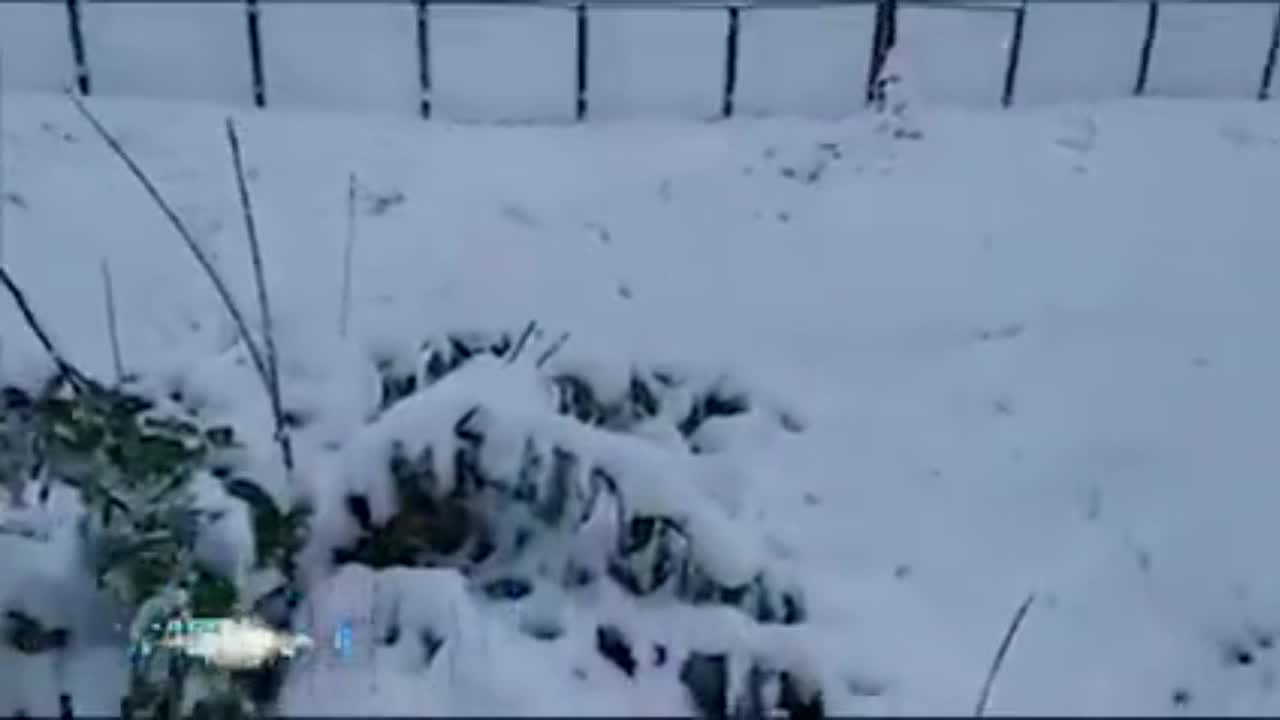 فیلم | بارش برف در ارتفاعات «شاه داغ» جمهوری آذربایجان