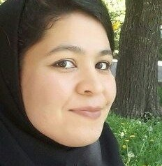 تولید دریچه های ضدسرقت در تبریز